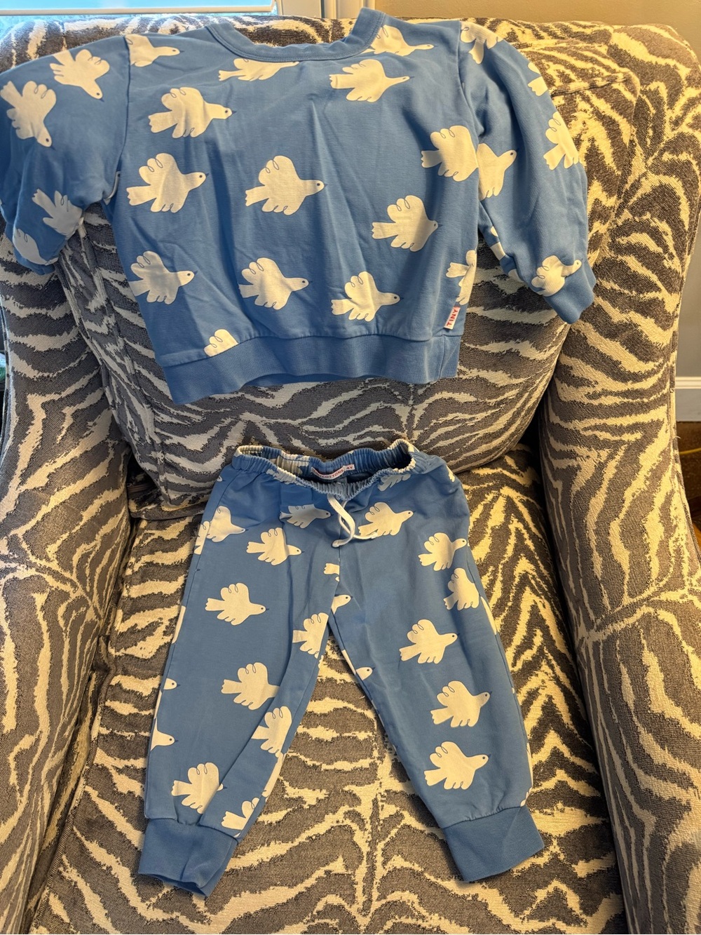 EUC TinyCottons sweatshirt & pants blue dove set Unisex 4T